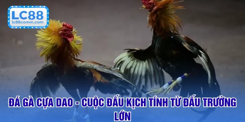 Đá Gà LC88 🐓 Trực Tiếp Sôi Động – Cược Hấp Dẫn Từng Trận