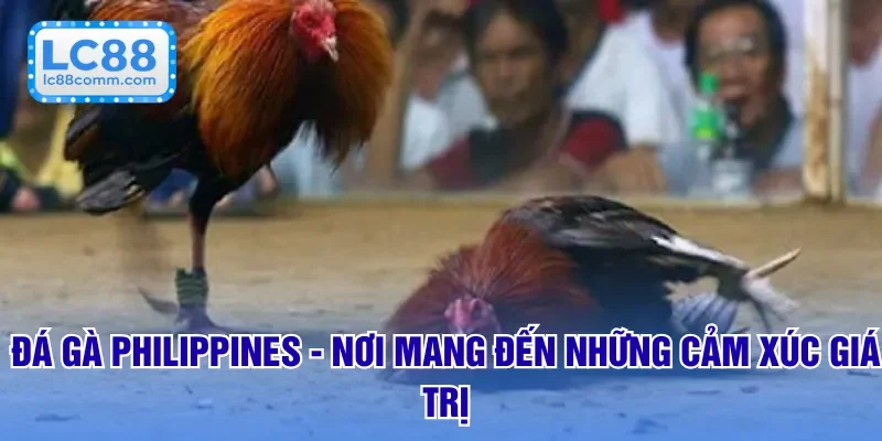Đá Gà LC88 🐓 Trực Tiếp Sôi Động – Cược Hấp Dẫn Từng Trận