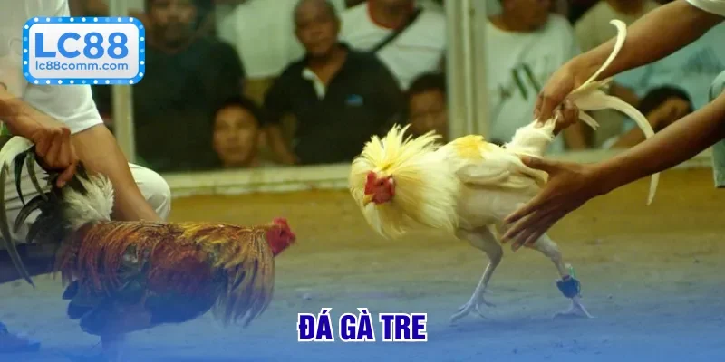 Đá Gà LC88 🐓 Trực Tiếp Sôi Động – Cược Hấp Dẫn Từng Trận