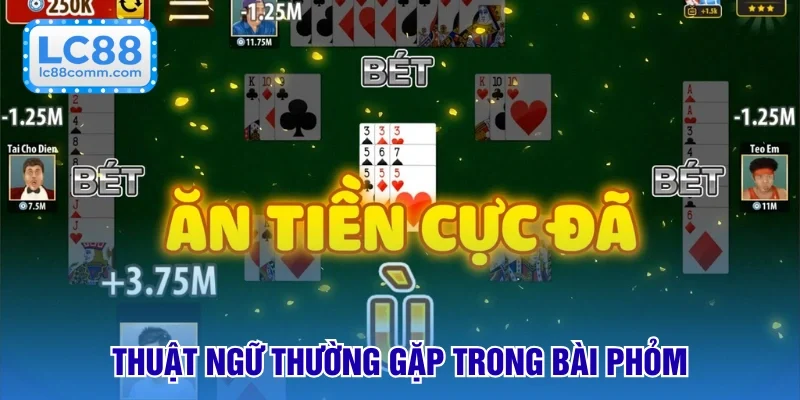 Cách Chơi Bài Phỏm - Dễ Dàng & Nhanh Chóng Tại LC88